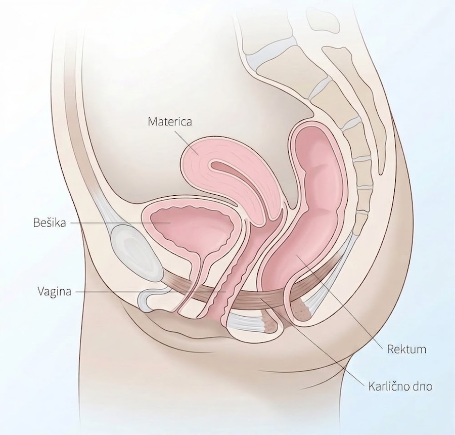 Uroginekologija - probleme karličnog dna
